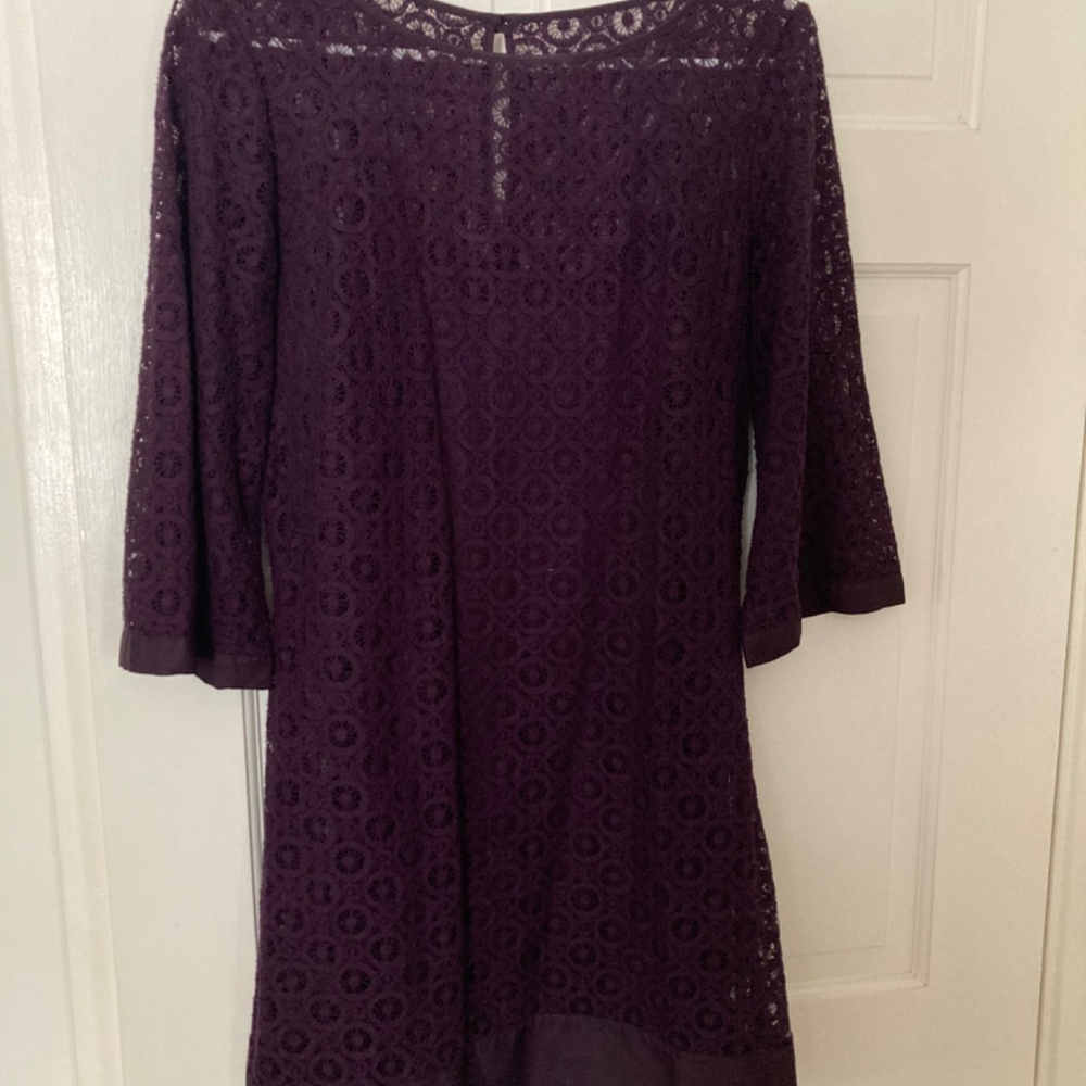 Plum color short embroidered dress with slip